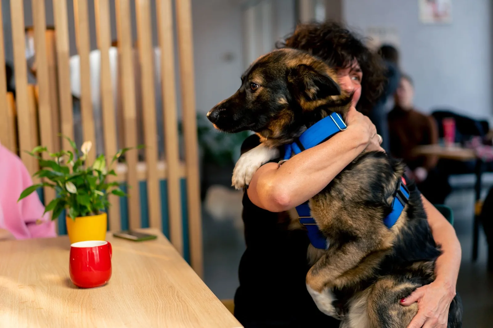 a dog already in the arms of his owner