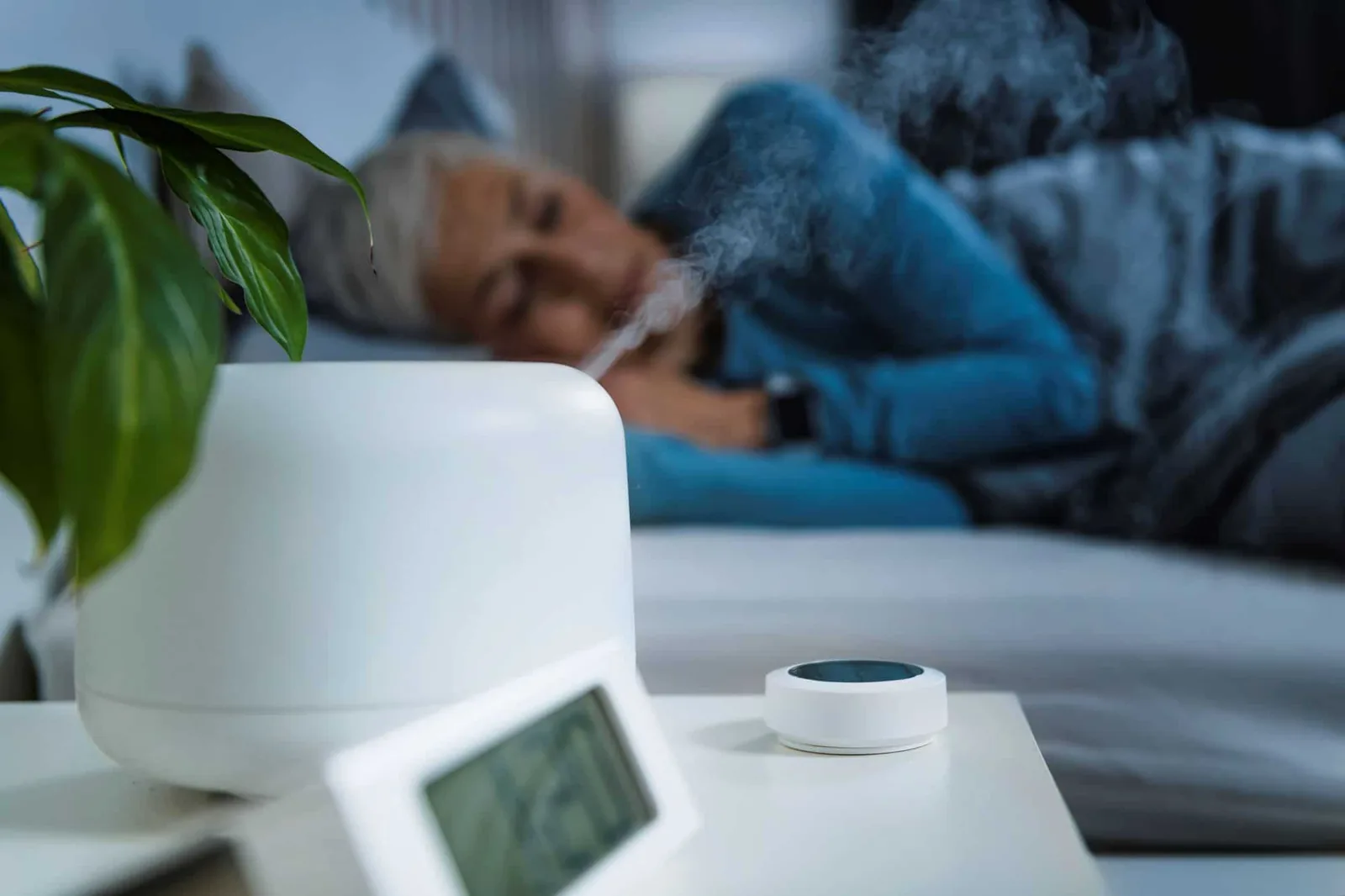 Air Purifier Vs. Humidifier; Which One is Best For You
