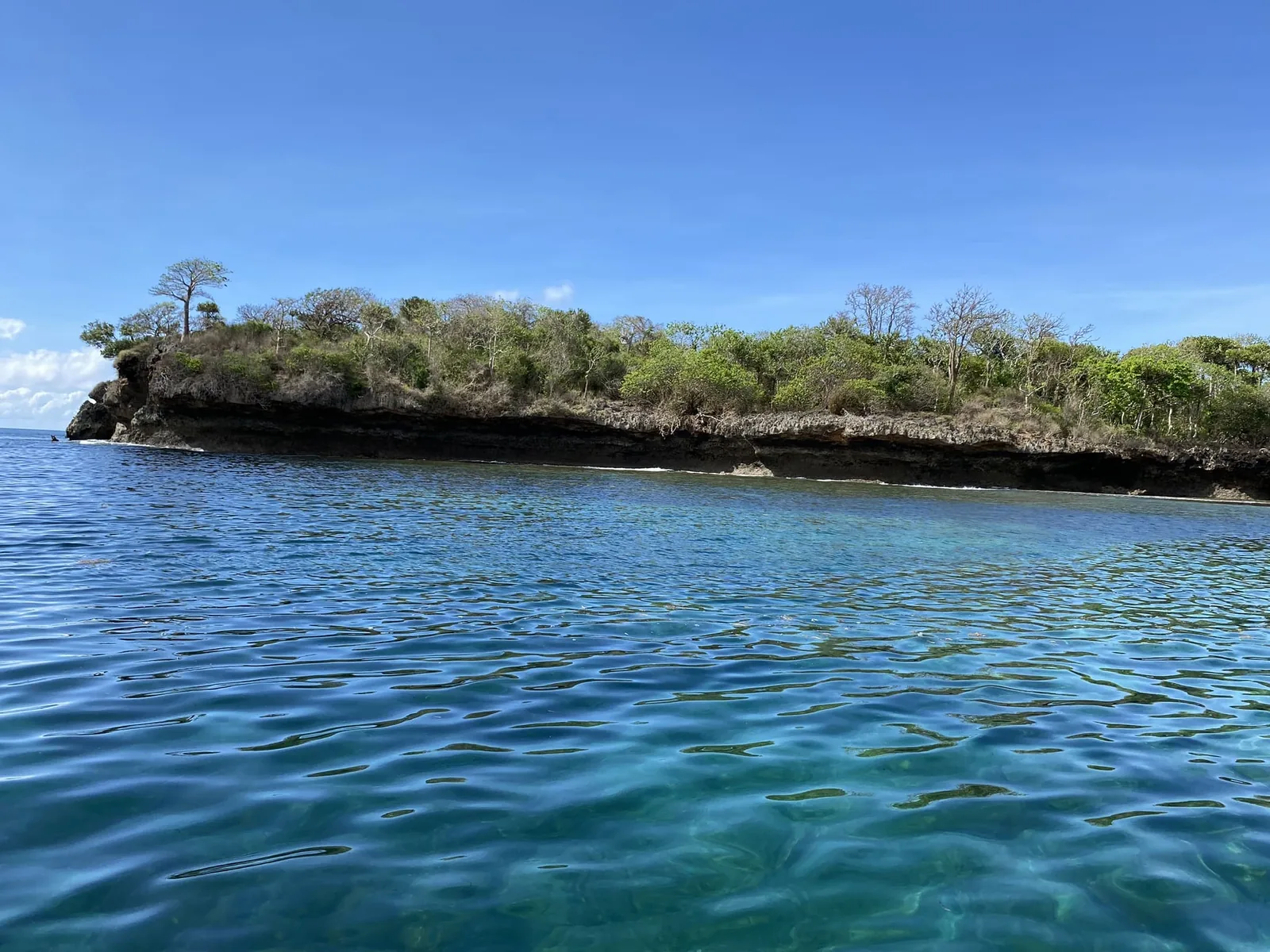 Barrier Reef at Kisite Mpunguti - Top Things To Do In Diani