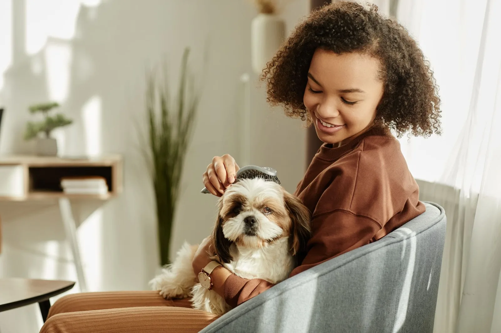 Black girl brushing pet dog enjoying time together at home lit by sunlight