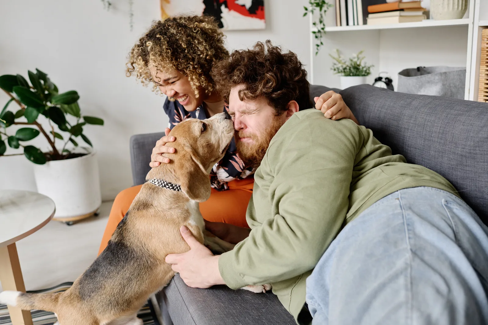 cute-pet-loving-his-owners