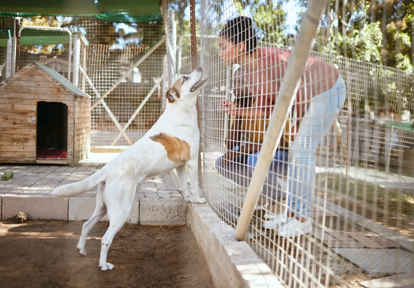 Pet Adoption vs Buying: What's Best for You?