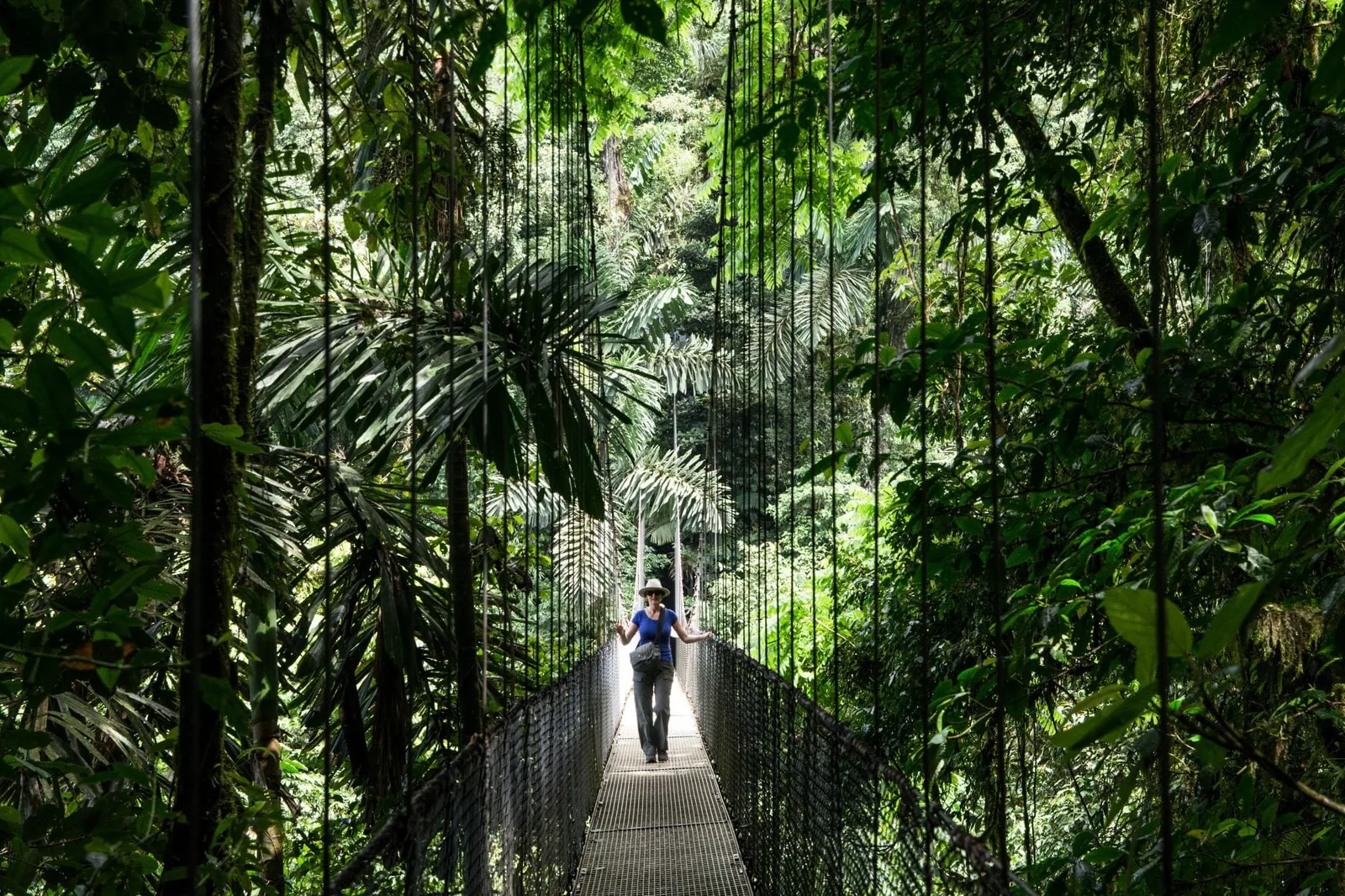 Hanging bridge in a tropical rain forest near Monte Verde