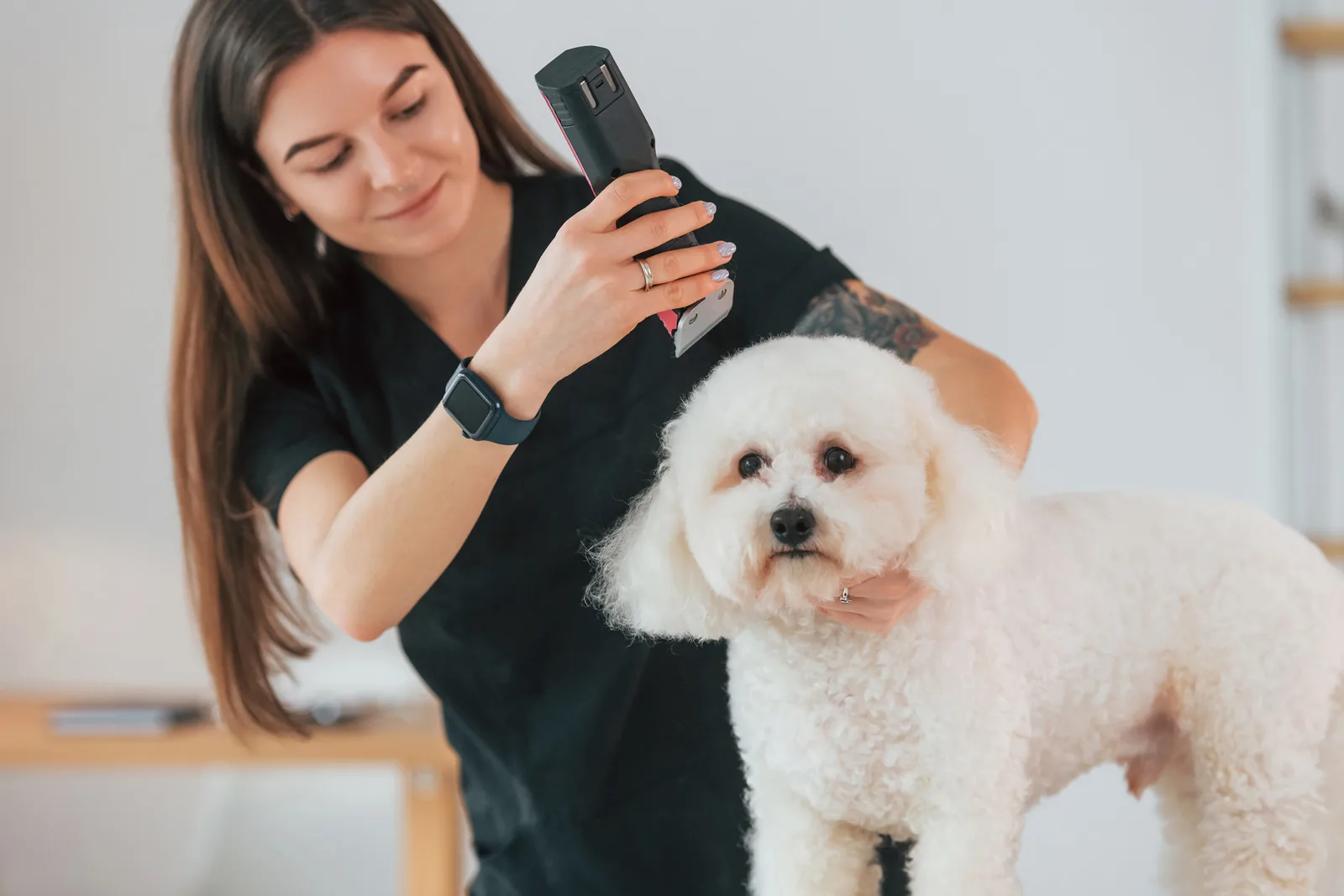 young-woman-is-working-with-pet-cute-little-dog-